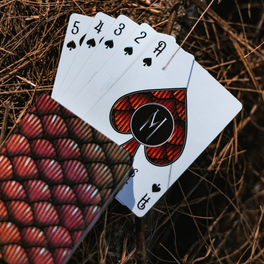 Premium Red Marvelous Hummingbird Feathers Playing Cards - Elegant Deck for Poker, Magic Tricks & Collectors | Perfect for Game Nights, Gifts & Cardistry