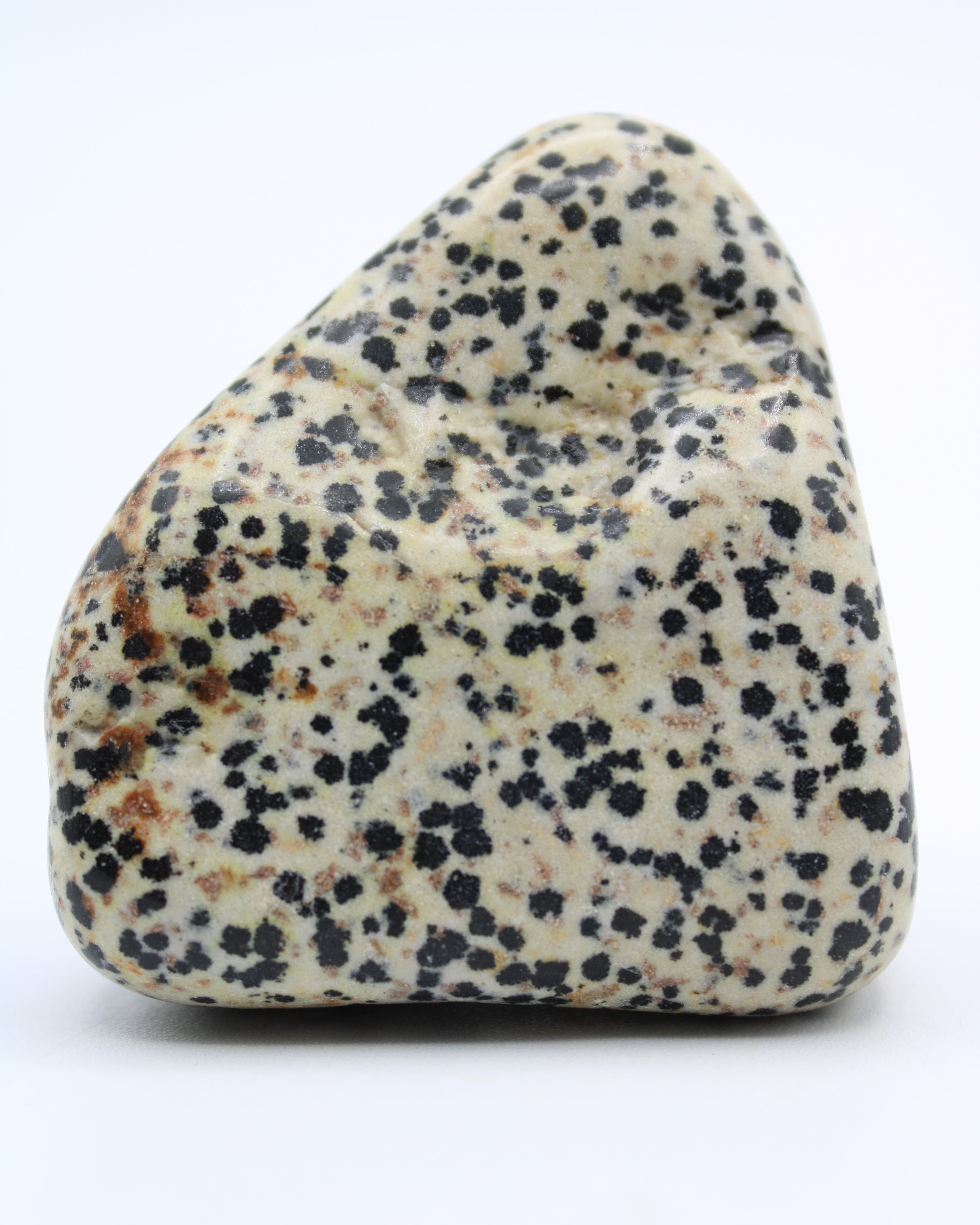 Natural Dalmatian Jasper Free Form Stone - Healing Crystal for Meditation, Home Decor & Spiritual Gifts | Perfect for Yoga, Reiki & Positive Energy