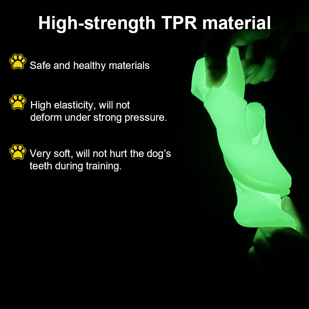 Glow in the Dark Dog Frisbee - 9 Inch Large LED Flying Disc for Medium & Large Dogs - Soft Lightweight Fetch Toy Floats in Water & Safe for Teeth - Perfect for Night Play, Beach, Park & Backyard Fun
