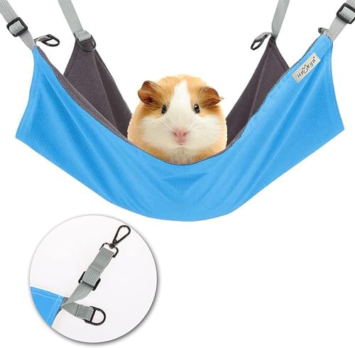Guinea-pig Size Blue