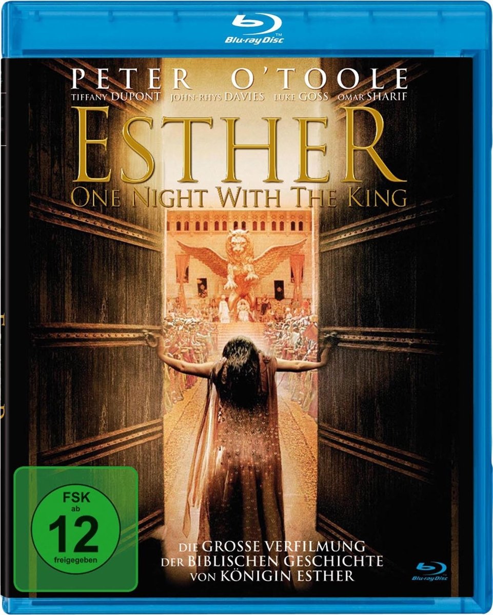 One Night with the King - Historical Biblical Drama DVD - Inspirational Movie About Queen Esther - Perfect for Bible Study Groups & Christian Family Movie Nights