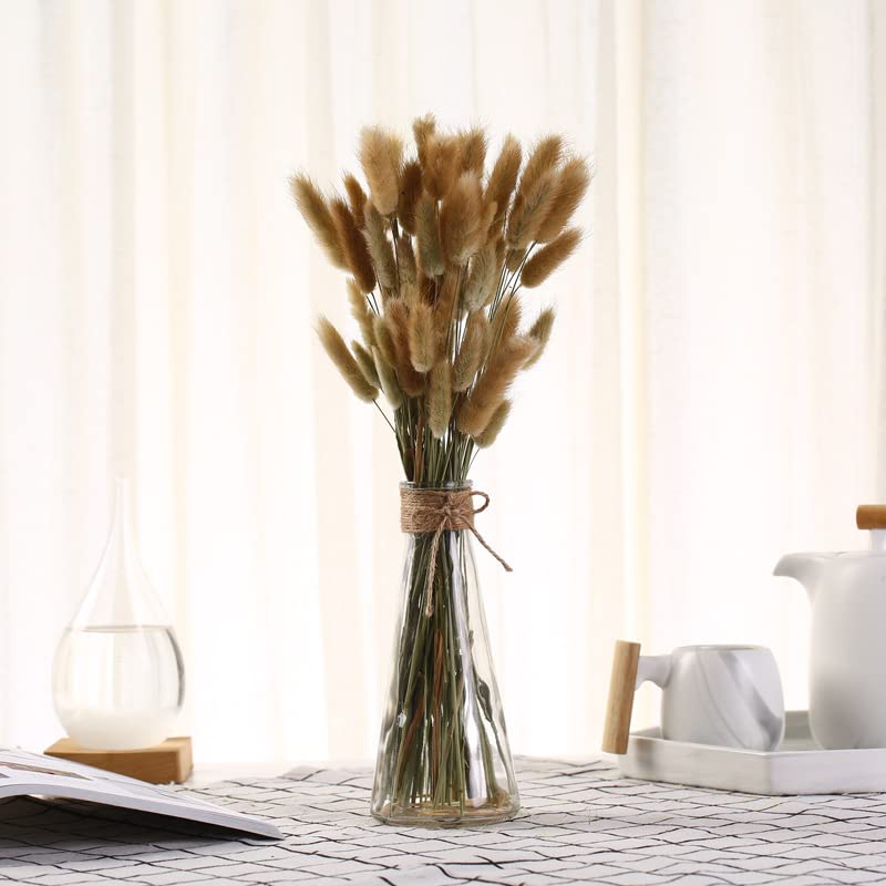 60/30Pcs Natural Dried Pampas Grass Bouquet - Wedding Decor, Easter Decor, Boho Home Decor - Real Rabbit Tail Grass for Centerpieces, Vases & DIY Floral Arrangements