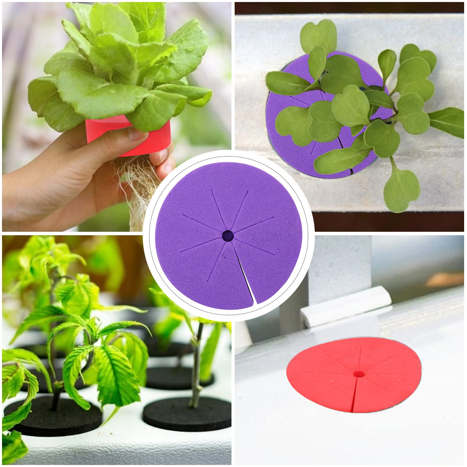 GANAZONO 50pcs Hydroponic Plant Spacers - Garden Clone Collars, Nutrient Blocks & Plant Plugs for Hydroponics (Random Colors) - Ideal for Indoor Gardening, Hydroponic Systems & Seed Starting