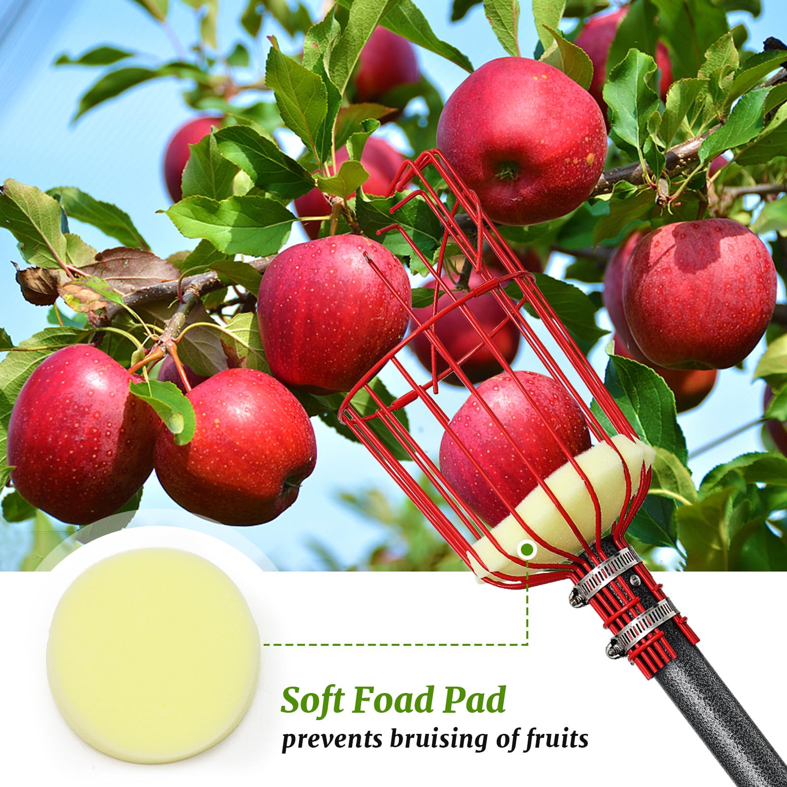Premium 15FT Coconut Picker Tool with Basket - Easy to Assemble Fruit Harvester for Coconut, Mango & Avocado | Perfect for Home Garden, Farm & Orchard Harvesting