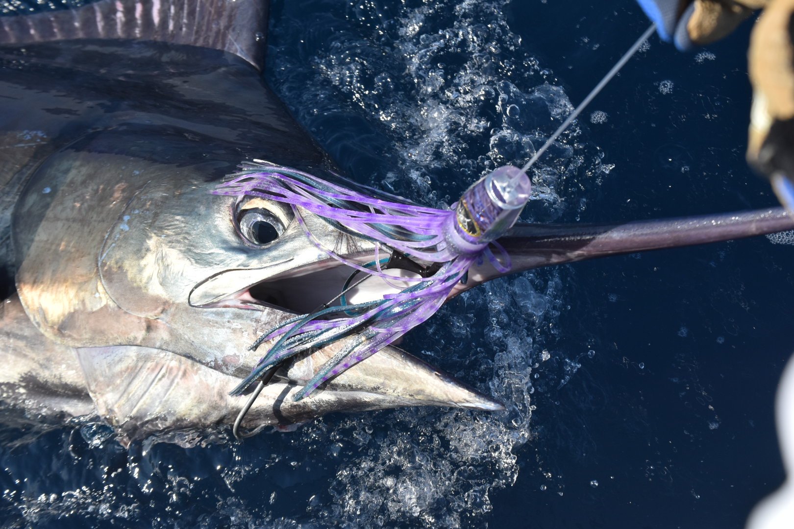 Premium Big Game Marlin & Tuna Trolling Lures - Heavy Duty Offshore Fishing Lures Made in USA - Perfect for Deep Sea Fishing & Saltwater Trolling Adventures