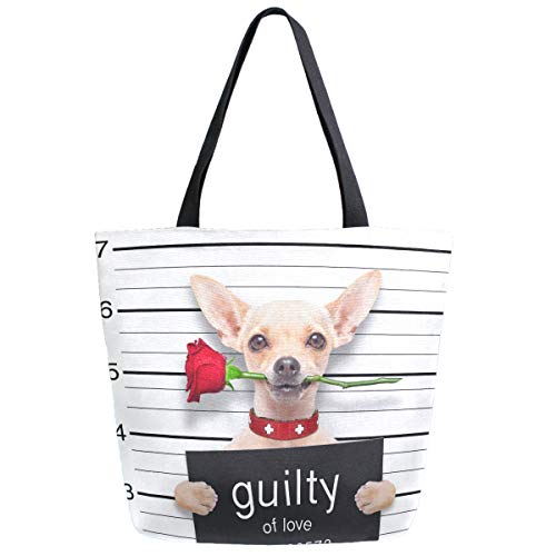 Chihuahua Dog