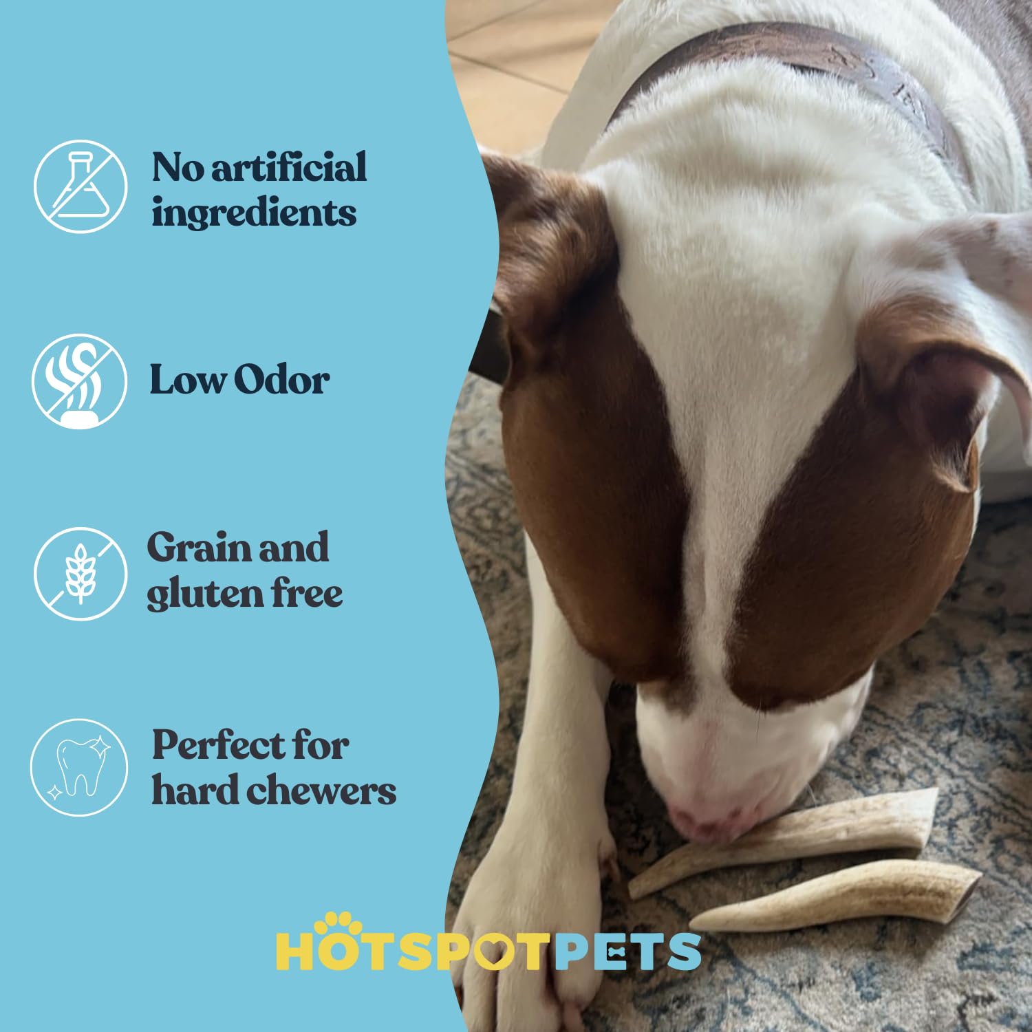 Premium Deer Antler Dog Chews - 6 Pack Natural Shed Antlers (4-7 Inch) for Small & Medium Breed Aggressive Chewers - Long Lasting Dog Bones Sourced in USA - Perfect for Teething Puppies, Dental Health & Outdoor Playtime