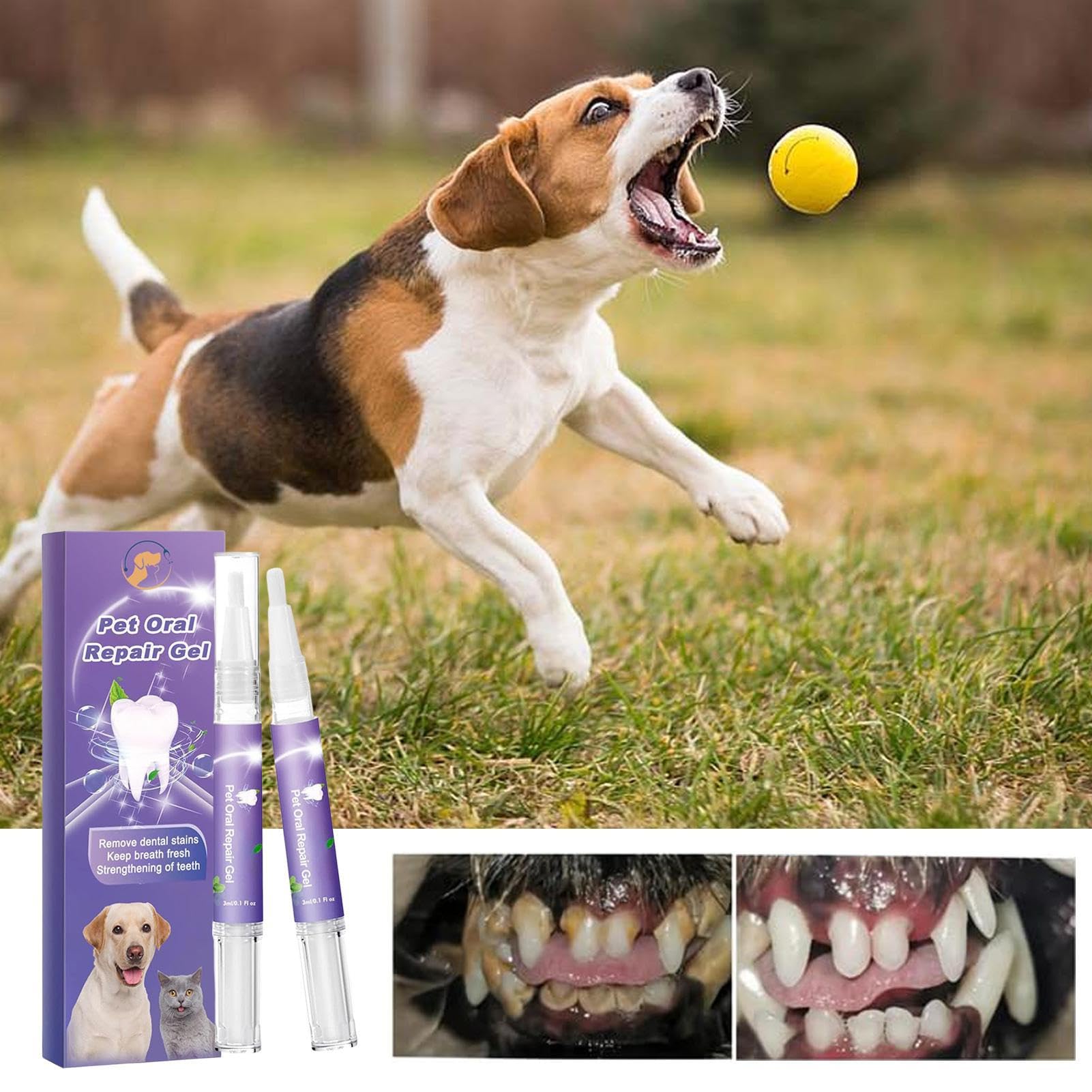 Pet Oral Repair Gel - Tartar & Breath Freshener for Dogs & Cats - No Brushing Needed for Home Dental Care
