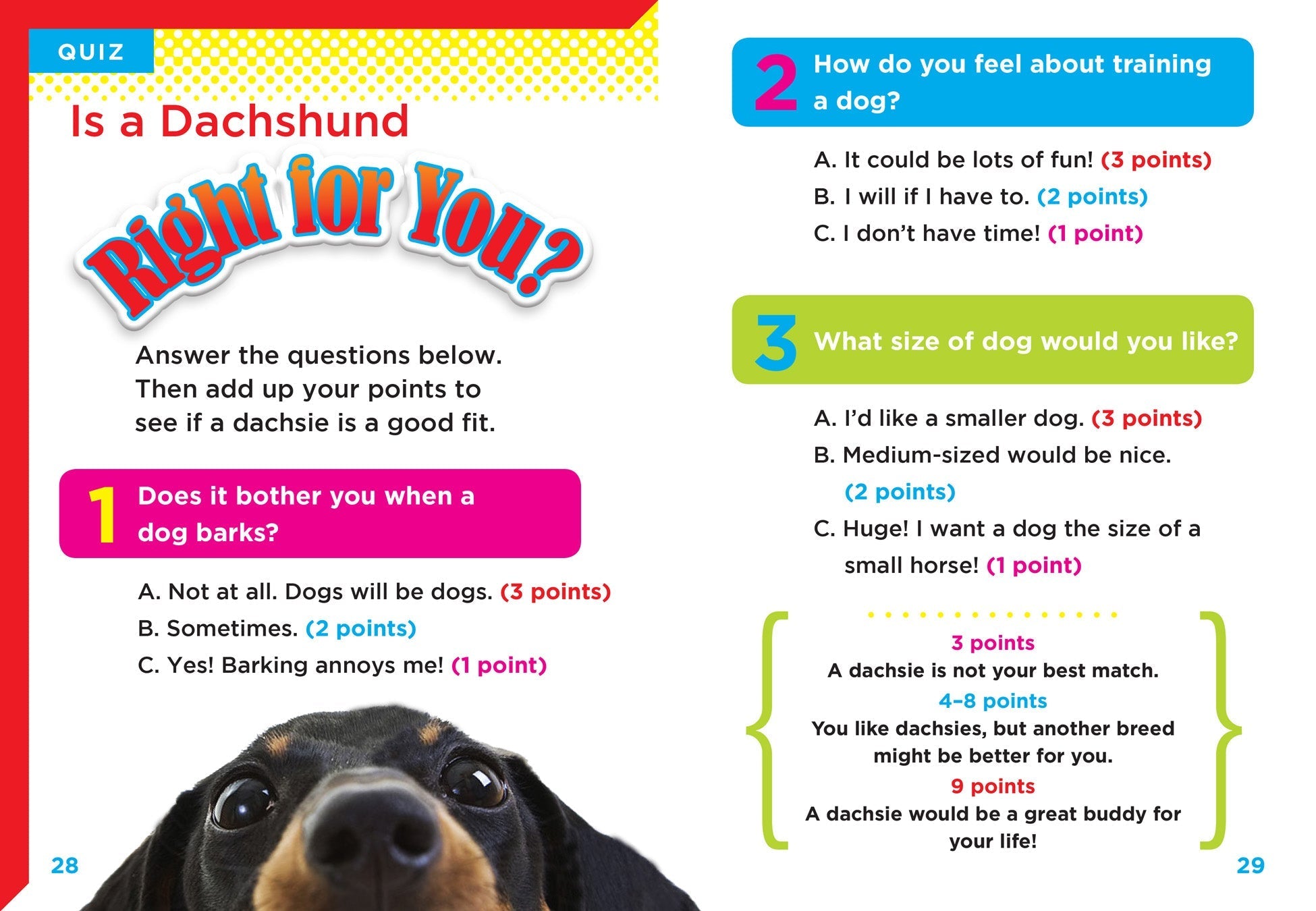 Dachshunds Dog Breed Book - 9781680724011 | Complete Guide for Owners & Lovers | Perfect for Training, Grooming & Pet Care