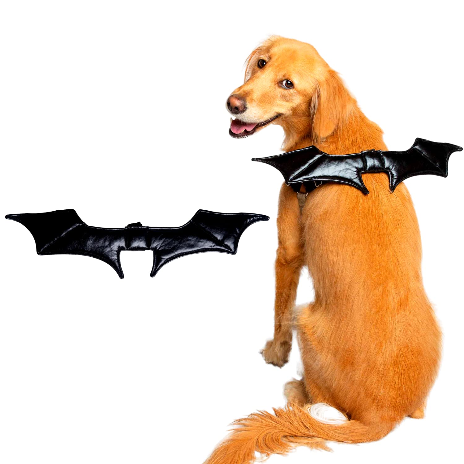 Pet Krewe Bat Dog Costume with Bat Wings & Harness Attachment - One Size Fits All - Perfect for Halloween, Christmas, Parties & Photoshoots - Great Gift for Dog Lovers - Ideal for Dress-Up, Pet Parades & Themed Events