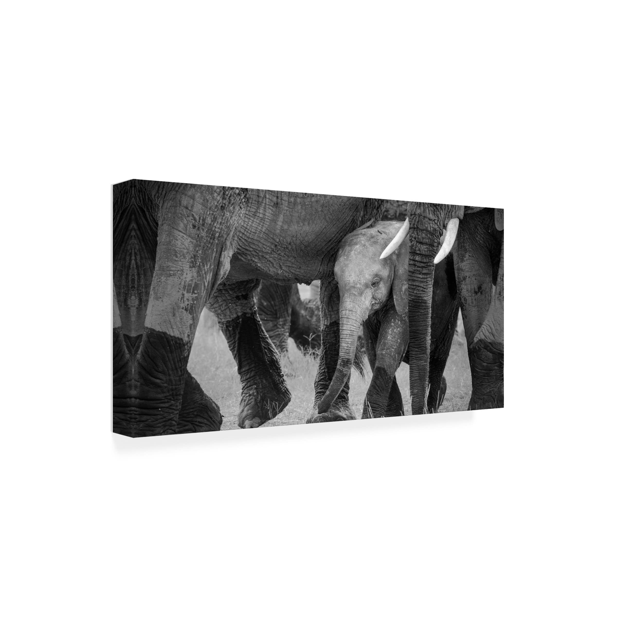 Trademark Fine Art 'Family Protection' Canvas Wall Art by John Fan - Perfect for Living Room, Bedroom & Home Decor