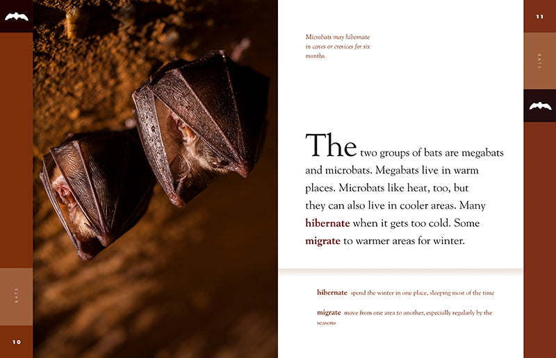 Bats 9781640262042 - Nature Books for Kids, Wildlife Education & Animal Facts - Perfect for Classroom Learning & Home Schooling
