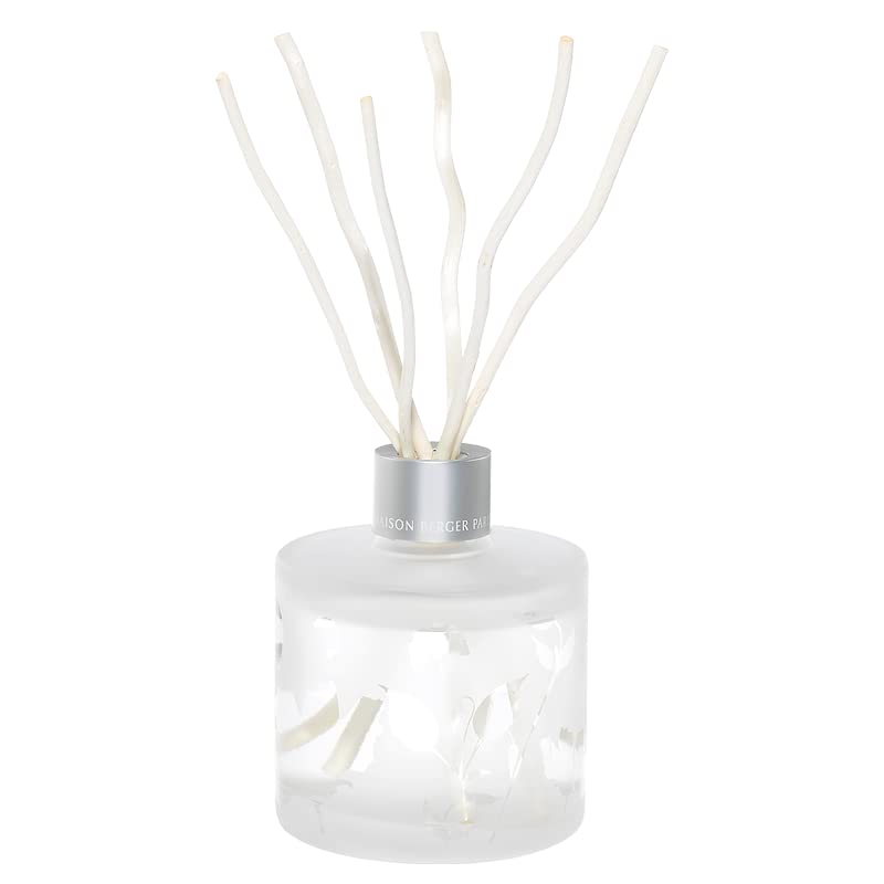 MAISON BERGER Reed Diffuser Bouquet - Aroma Collection - 6 Bamboo Sticks - 180ml Premium Fragrance Oil - Made in France (Aroma Wake-up) - Home & Office Scent Diffuser for Relaxation & Aromatherapy