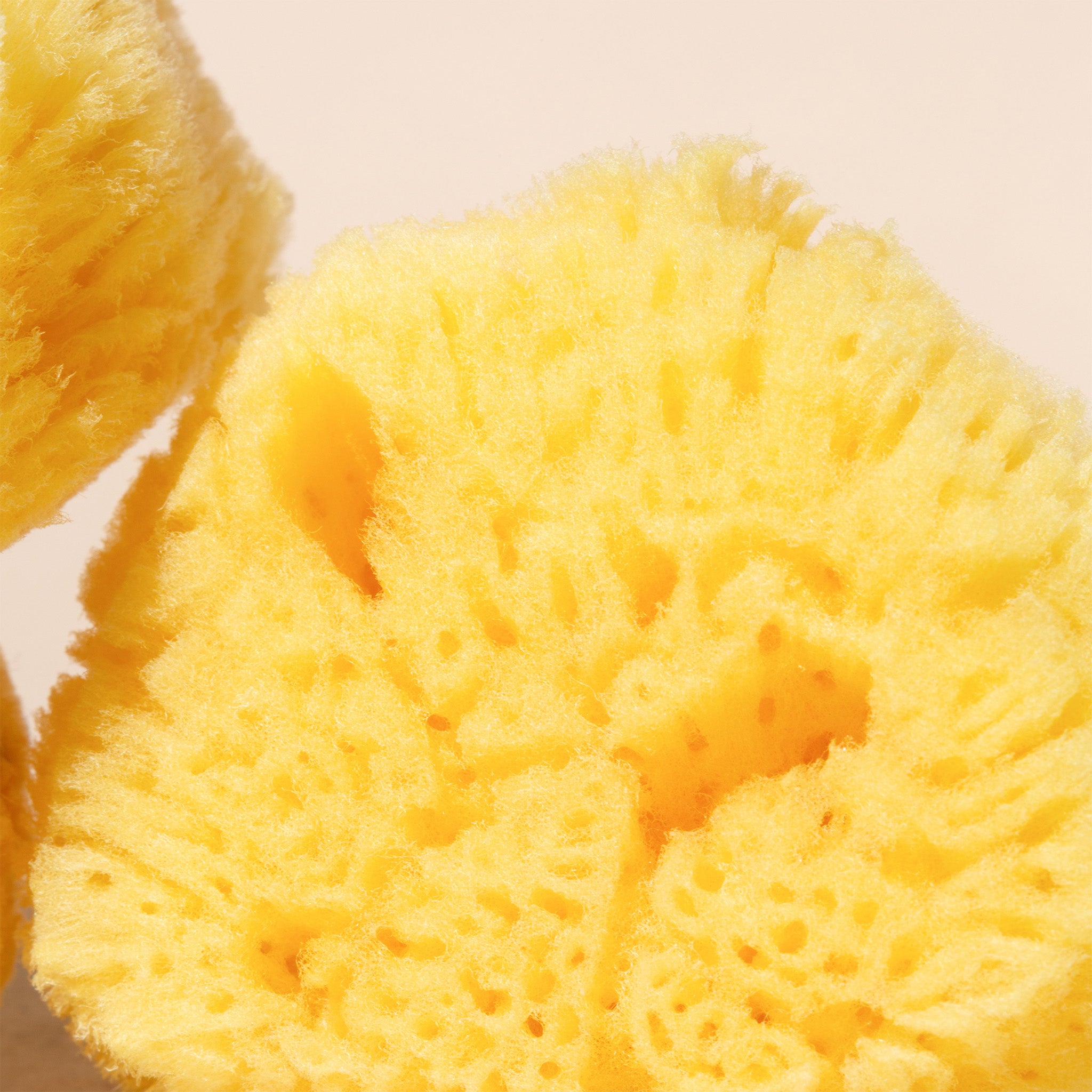 Natural Silk Sea Sponge for Face & Body - Premium Organic Skincare & Bath Accessories - Gentle Exfoliation for Sensitive Skin | Perfect for Daily Cleansing, Makeup Removal & Spa Treatments