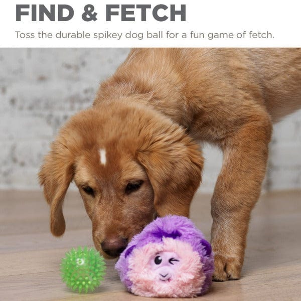 Outward Hound Reversi Balls Interactive Dog Toy - Fun Chew & Fetch Play for Small & Medium Dogs - Perfect for Indoor & Outdoor Use