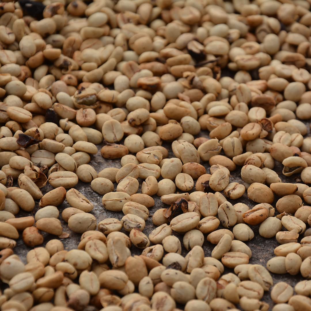 Organic Medium Roast Whole Bean Coffee - 100% Arabica Colombian Coffee, Fresh Roasted (5 LB) | Perfect for Home Brewing, Office Use & Gifts | Saxonville Mills Premium Coffee
