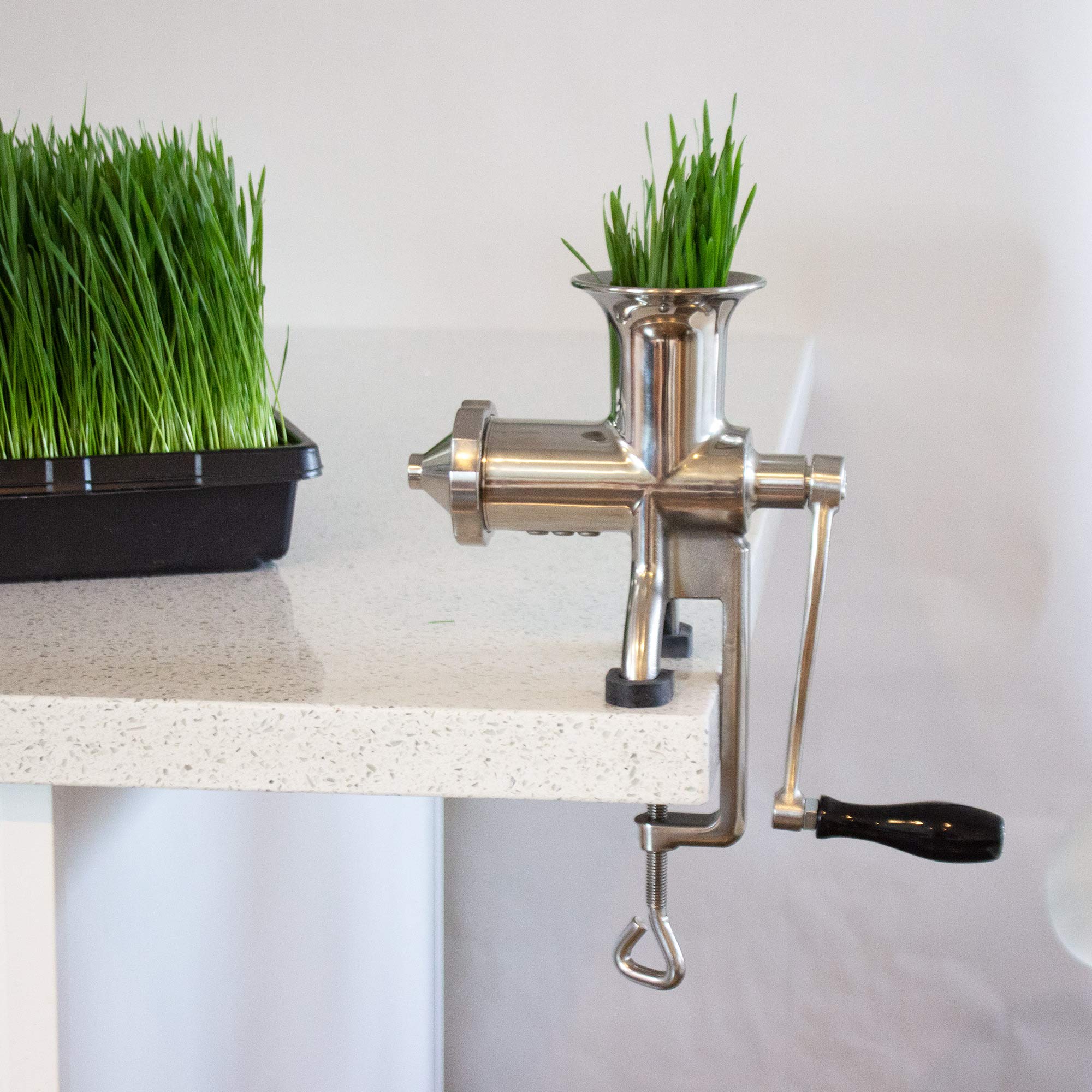 Stainless Steel Manual Wheatgrass Juicer - Handy Pantry HJ Hurricane for Fresh Wheatgrass Juice | Perfect for Home, Gym & Healthy Lifestyle