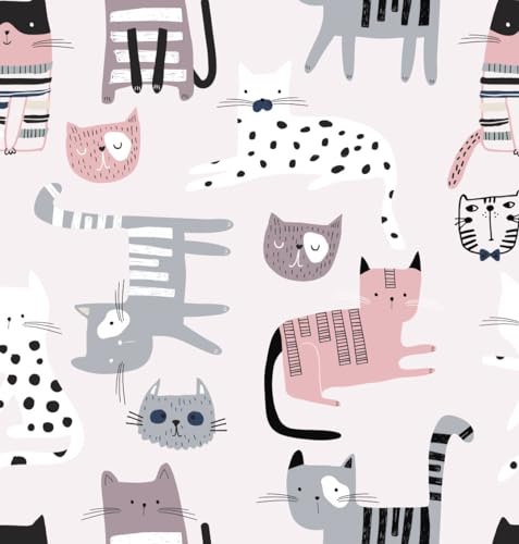 Kitty