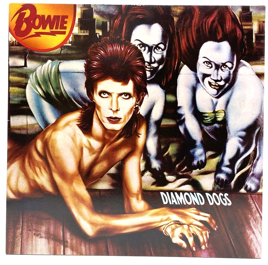 David Bowie Vinyl Records Collection - 21 Greatest Hits LP for Music Lovers | Perfect for Home Listening & Vintage Music Collectors