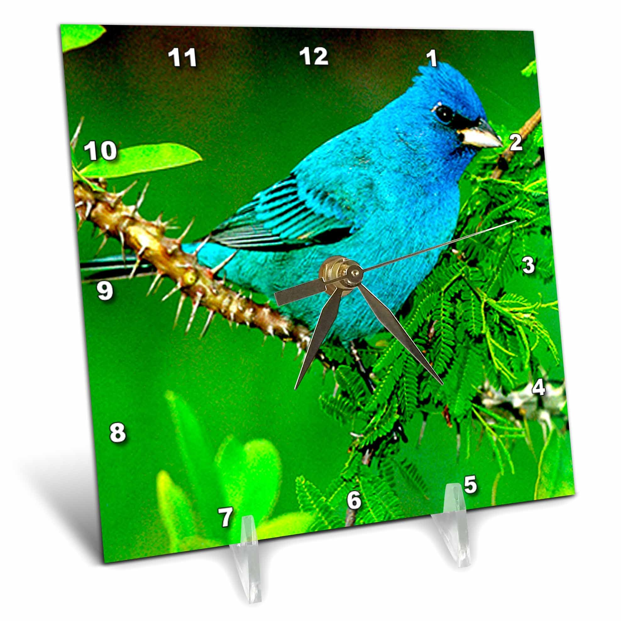 3Drose Indigo Bunting Bird Desk Clock - 6x6 Inch Stylish Home Office Decor for Desk, Shelf or Gift