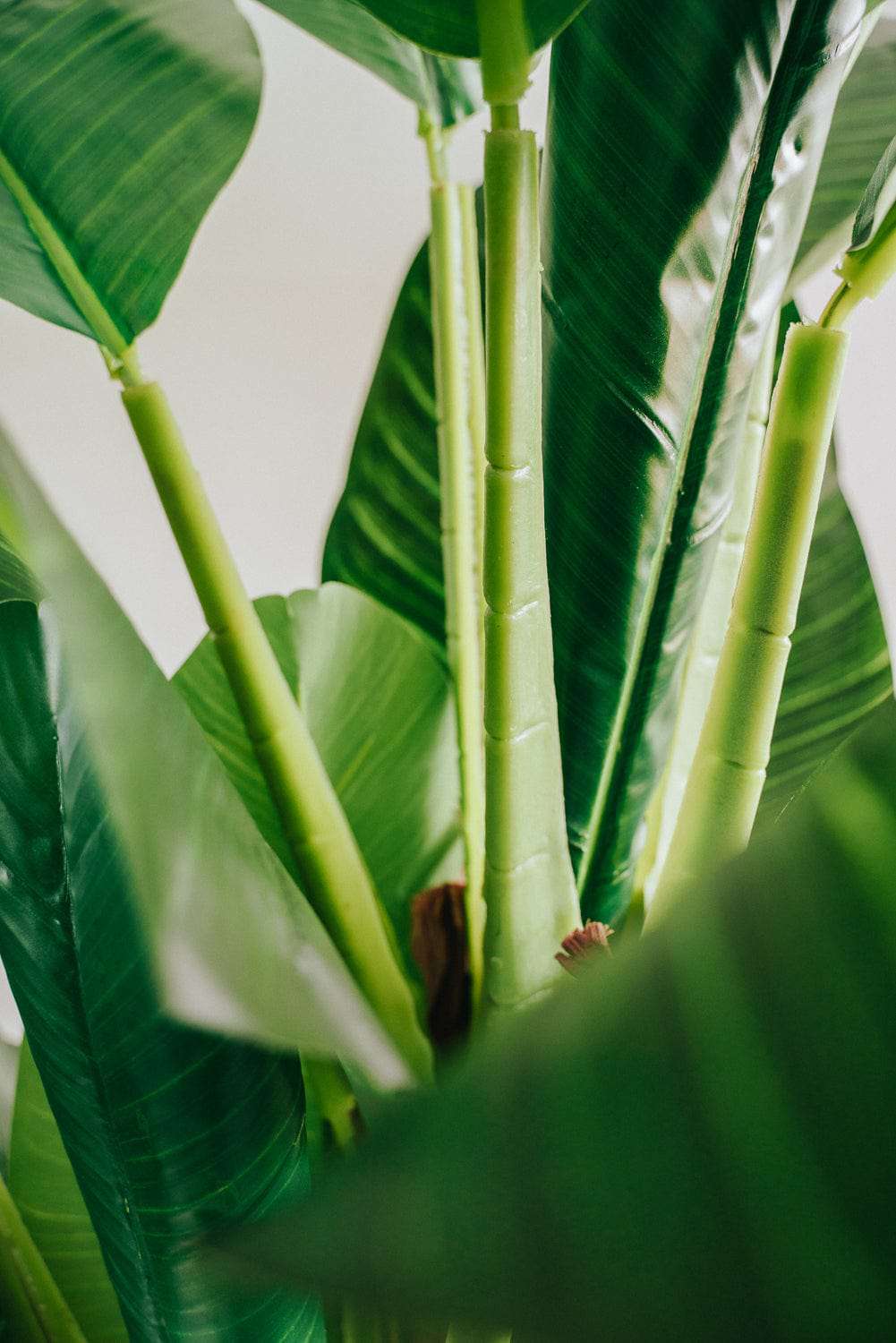 6ft Tall Artificial Banana Tree - Realistic Fake Plant for Home Decor, Office, Living Room, Patio & Indoor Greenery