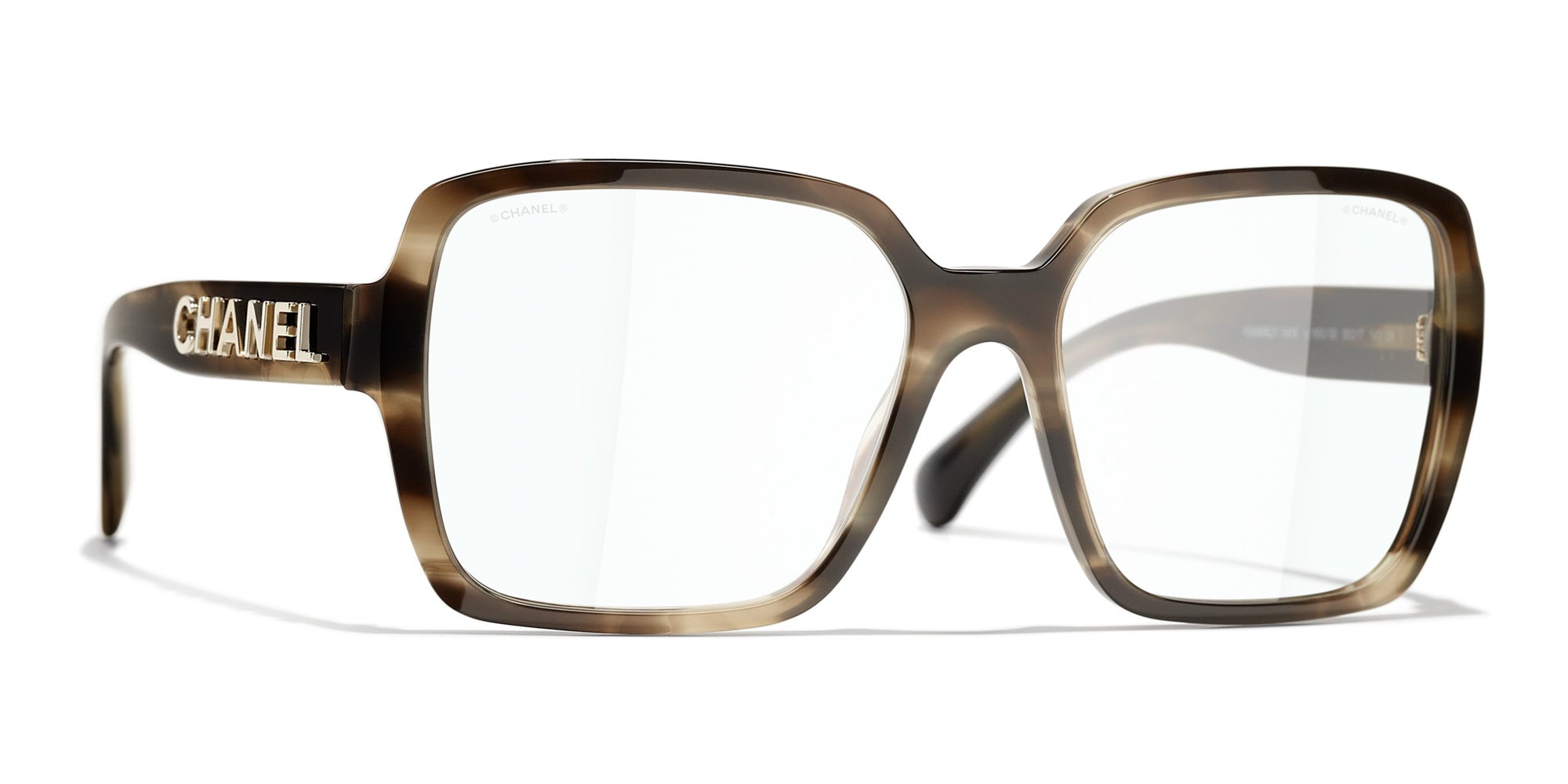 Tortoise/Transparent