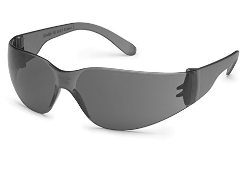 Gray Fx3 Premium Anti-fog Lens/Gray Temple