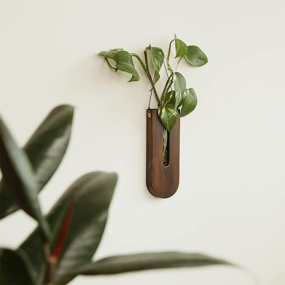 Hanging Planters for Indoor Plants - Self Watering Boho Wall Decor for Succulents, Live Houseplants, Farmhouse Style - Perfect for Living Room, Bedroom & Office Decor