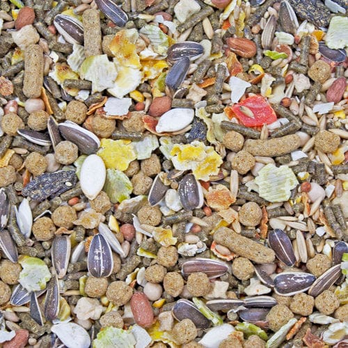 Premium Higgins Sunburst Gourmet Blend Hamster & Gerbil Food - Natural Ingredients, Balanced Nutrition for Small Pets - Perfect for Daily Feeding & Treats at Home or Travel