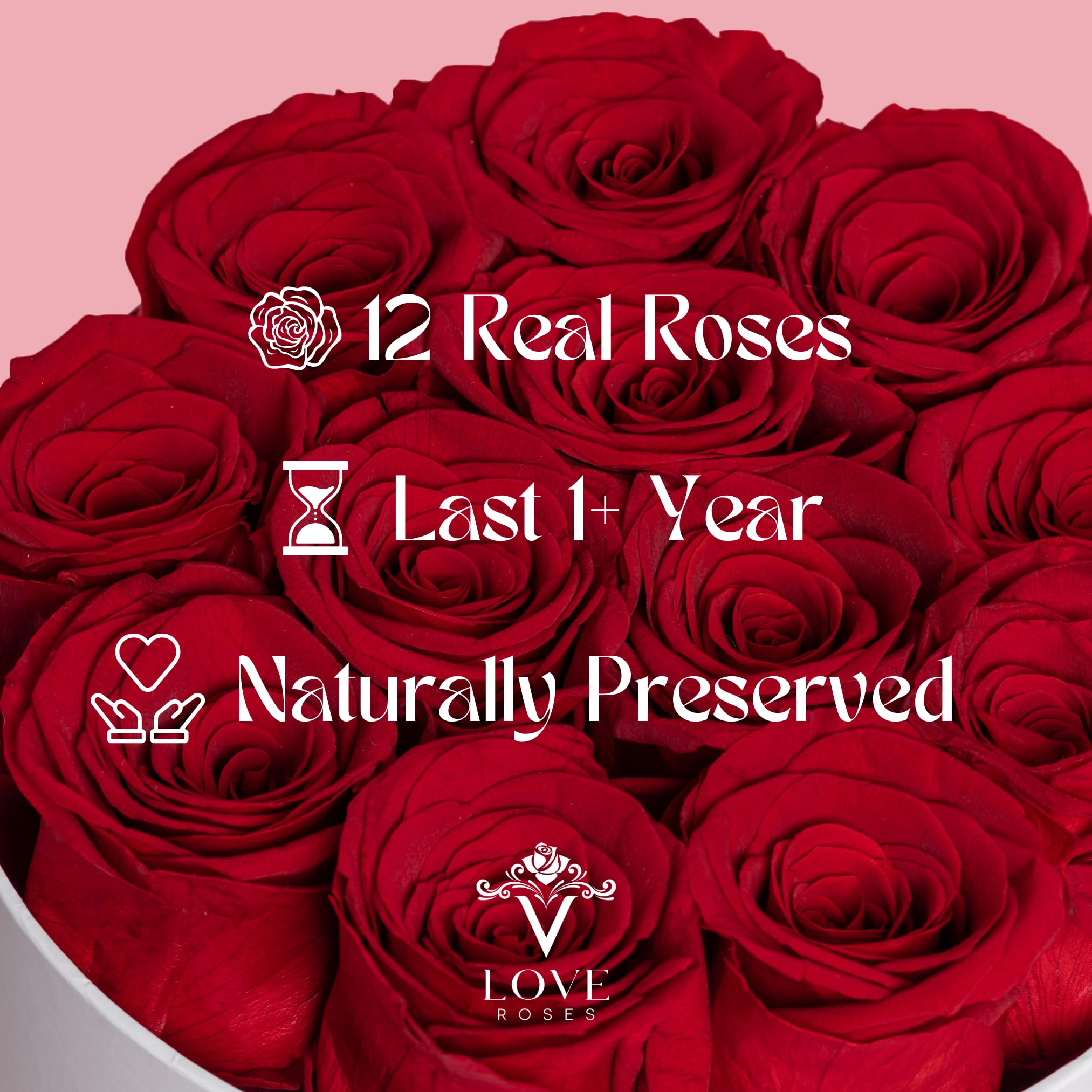 VLove® Preserved Real Roses in a Box - 12 Red Eternal Roses That Last 1 Year | Naturally Preserved Fresh Flowers Gift Set | Perfect for Valentine's Day, Anniversary, Wedding Decor & Home Decoration