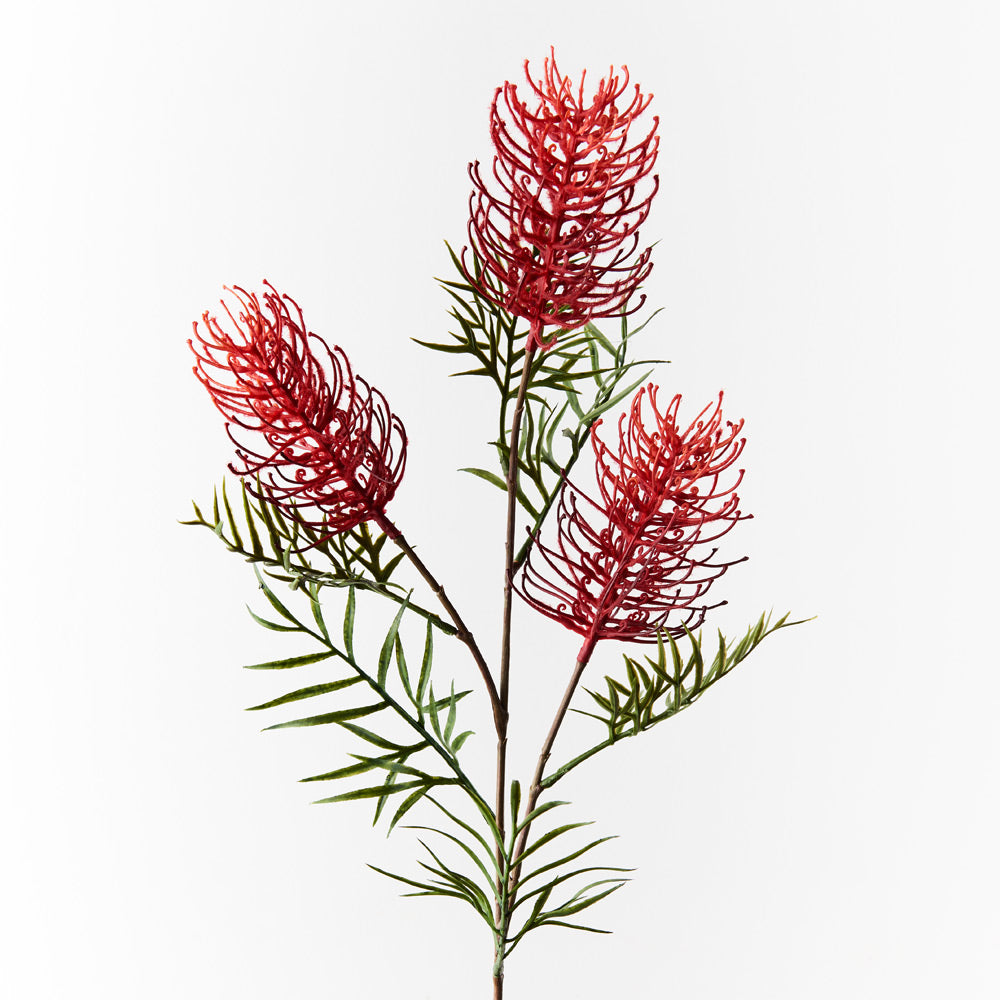 Buy Grevillea Spray (Red) - Fresh Floral Decor for Weddings, Events & Home Decor | Fast Shipping USA
