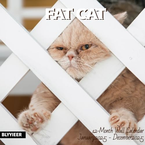 Fat Cats
