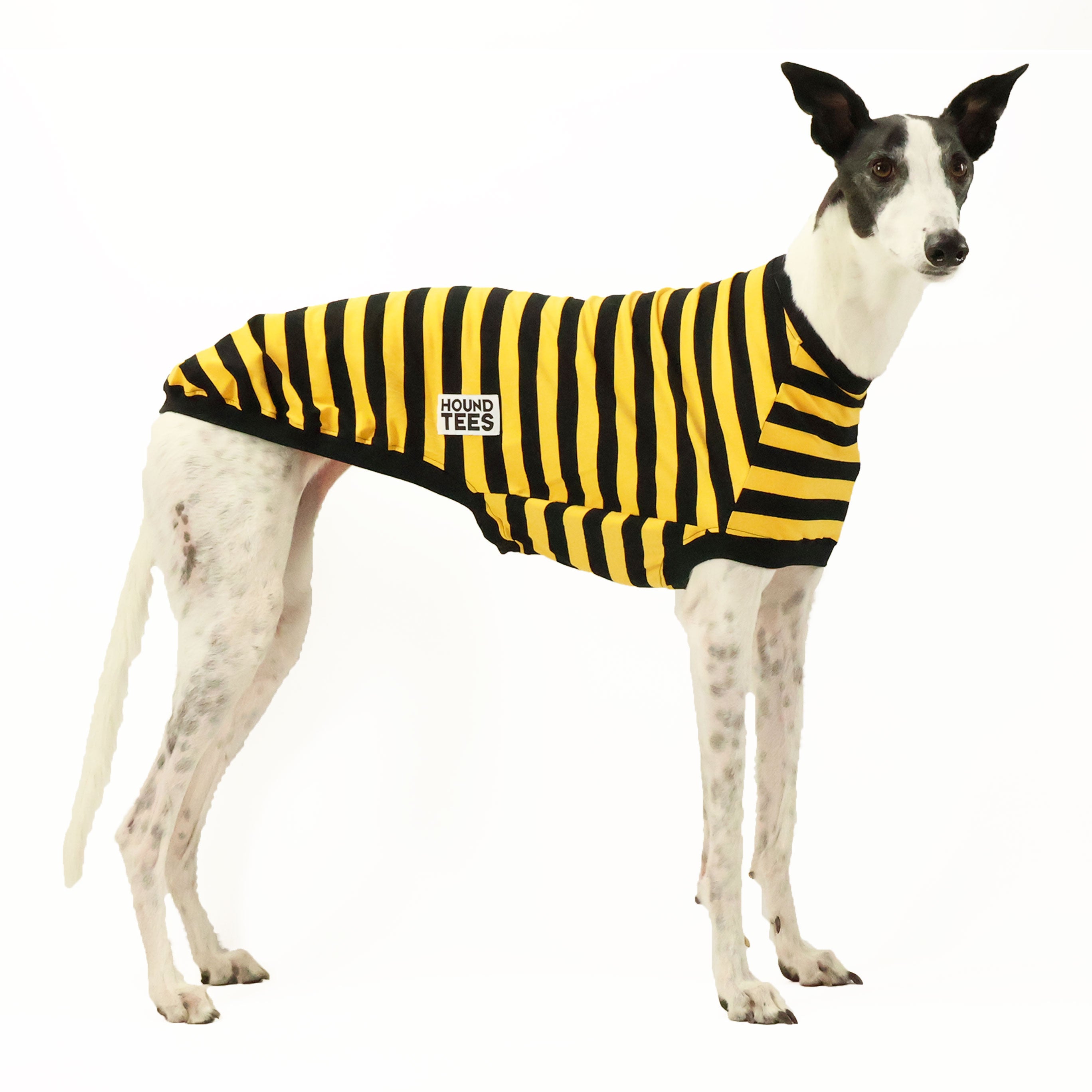 Odlaw Greyhound Sleeveless Hound T-Shirt for Men - Comfortable Dog Lover Apparel for Casual Wear, Running & Outdoor Activities