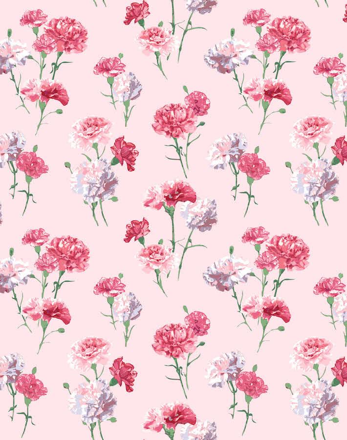 Nathan Turner 'Mamas Favorite' Pink Wallpaper - Vintage Floral Peel & Stick Wallpaper for Bedroom, Nursery, Living Room Decor