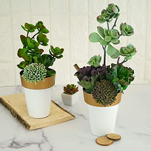 2 Pack 6-Inch White Antique Metallic Round Plastic Flower Pots - Elegant Plant Containers for Wedding Centerpieces, Home Decor & Garden Decorations