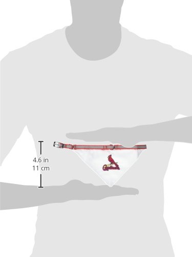Pets First MLB Bandana - Saint Louis Cardinals Adjustable Reflective Dog Bandana & Collar Set for Small Dogs - Perfect for Game Day, Walks, and Pet Fashion