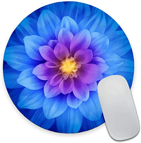 19 Blue Floral