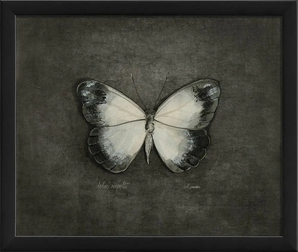 Butterfly Art Print - Elegant Wall Decor for Home, Office & Nursery | Perfect for Living Room, Bedroom & Gift Ideas