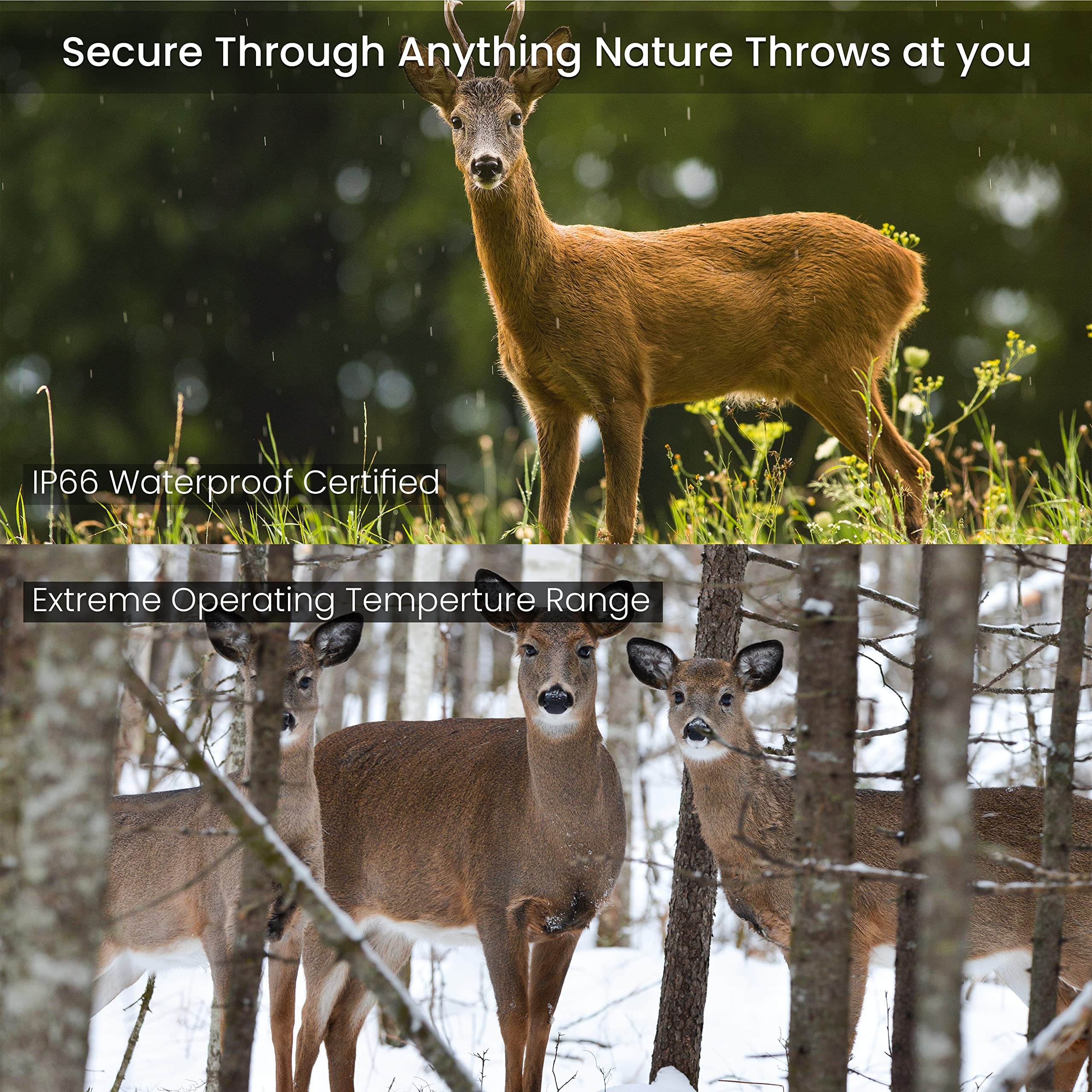 TACTACAM Reveal X Cellular Trail Camera for Verizon - 4G LTE Wireless Game Camera with Night Vision & Motion Detection - Perfect for Hunting, Wildlife Monitoring & Outdoor Security