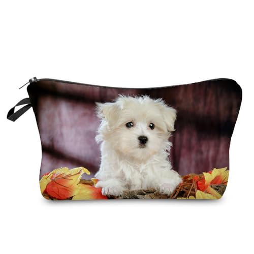 Maltese