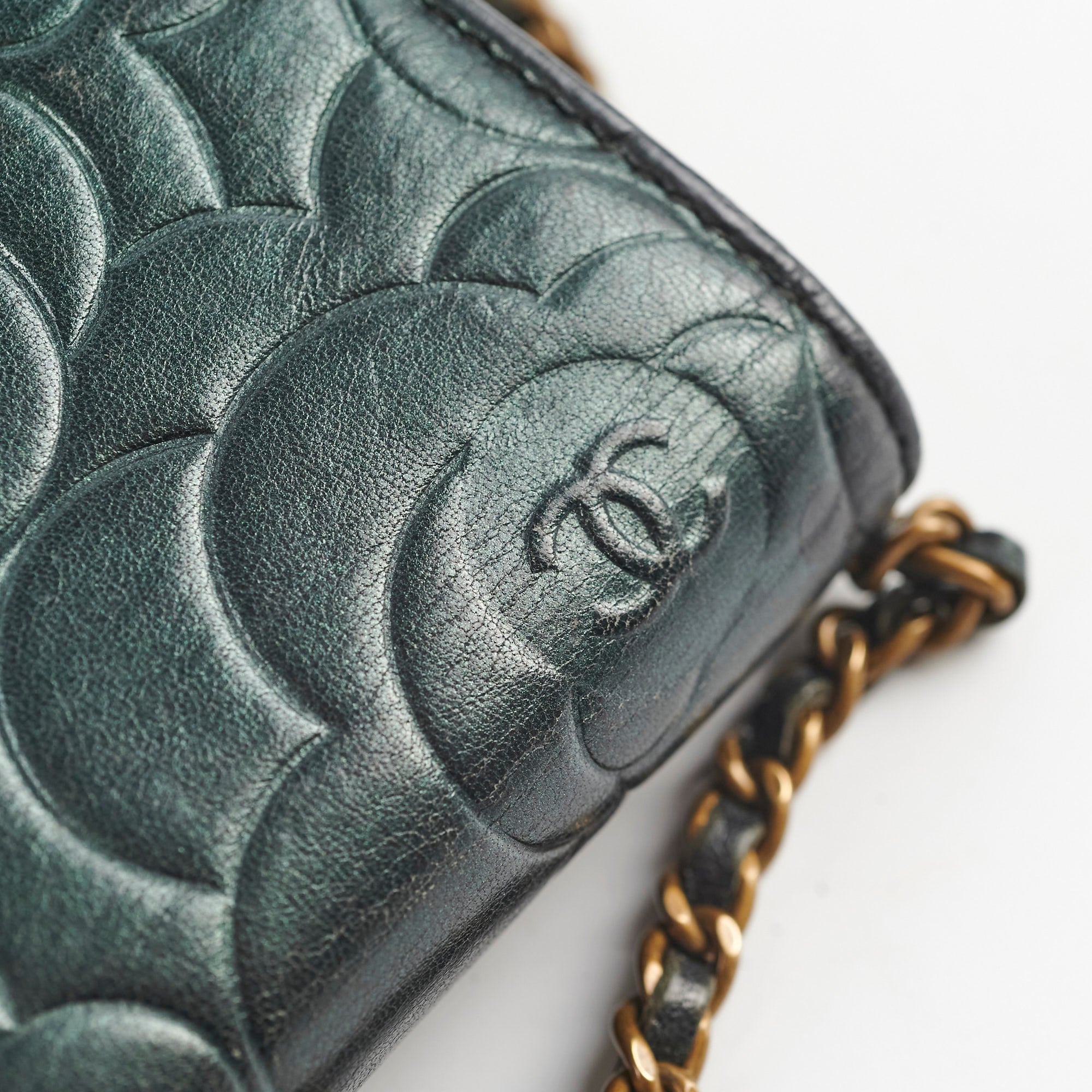 Chanel Camelia Embossed Wallet On Chain WOC Iridescent Green Crossbody Bag - Perfect for Evening Parties, Date Nights & Special Occasions