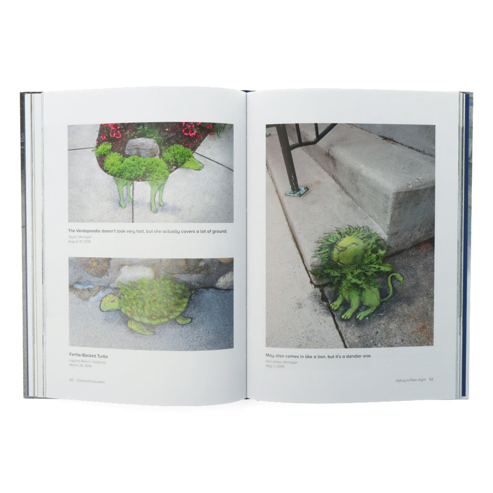 Chance Encounters: David Zinn's Temporary Street Art Book - Urban Art Collection for Artists & Designers | Perfect for Creative Inspiration & Home Decor