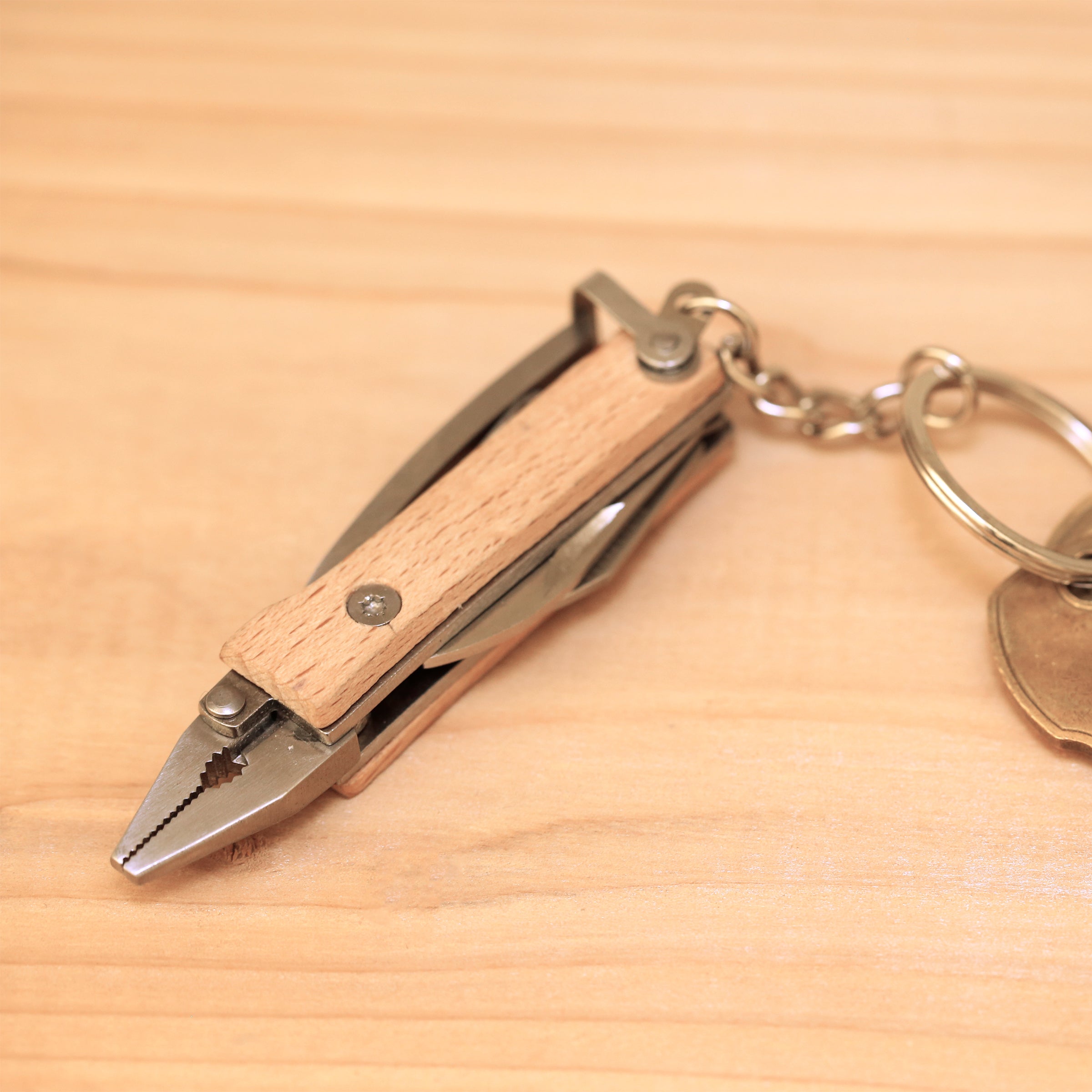 Mini Keychain Pliers - Compact Multi-Tool for Everyday Carry (EDC), Survival, Camping & DIY Projects | Stainless Steel Pocket Tool for Home, Office & Outdoor Adventures