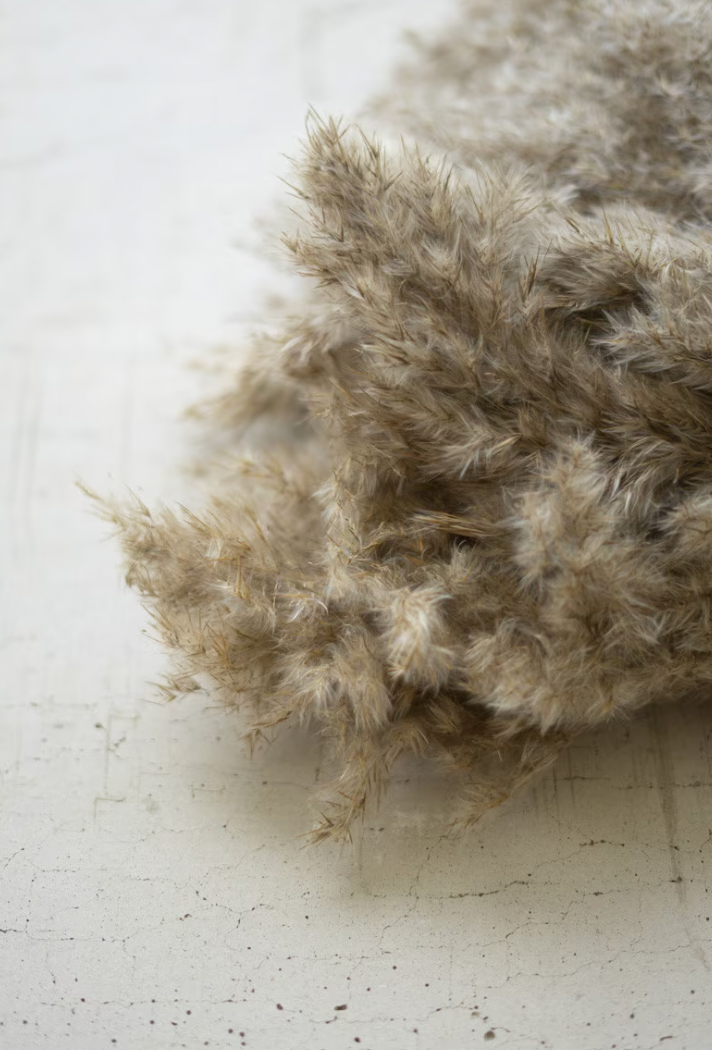 Natural Pampas Grass Bundle for Home Decor - Dried Boho Pampas Grass Stems for Wedding, Party, and Table Centerpieces - Perfect for Living Room, Bedroom, and Office Decor