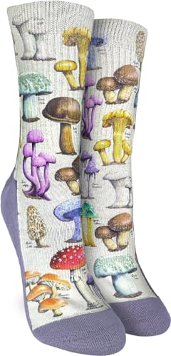 Morphology of Mushrooms