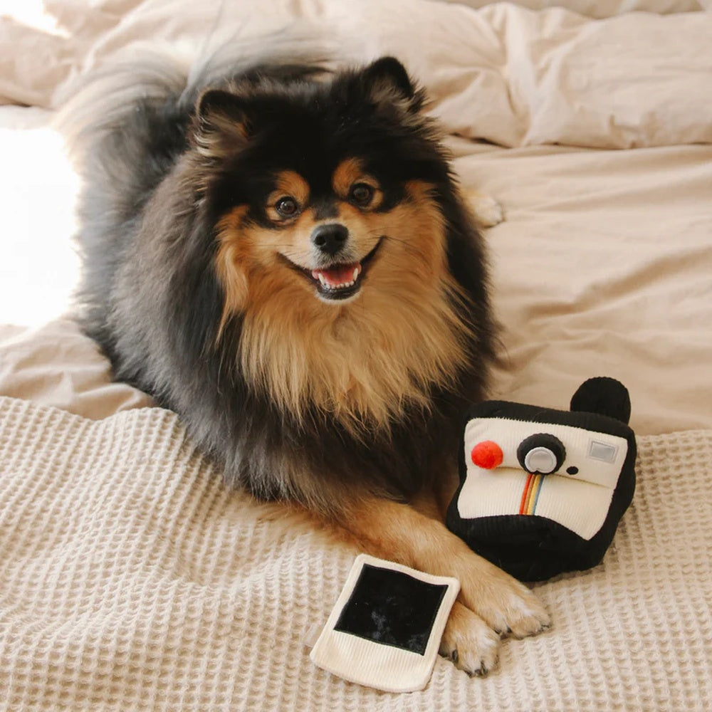 Snuffle & Squeaky Dog Toy - Interactive Instant Camera Shaped Chew Toy for Small & Medium Dogs - Perfect for Playtime, Training & Anxiety Relief