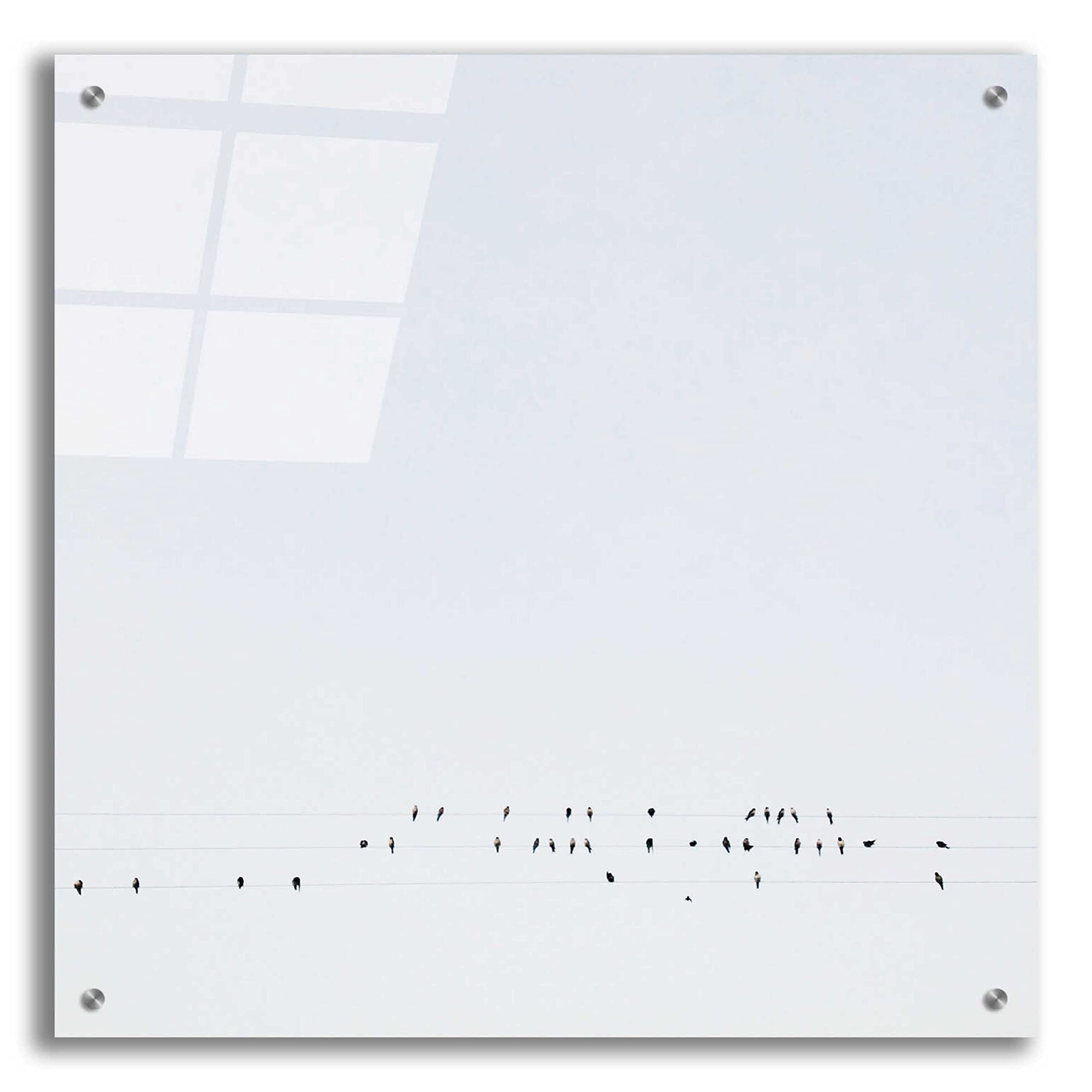 Epic Art 'Winter Sky' by Epic Portfolio - 24