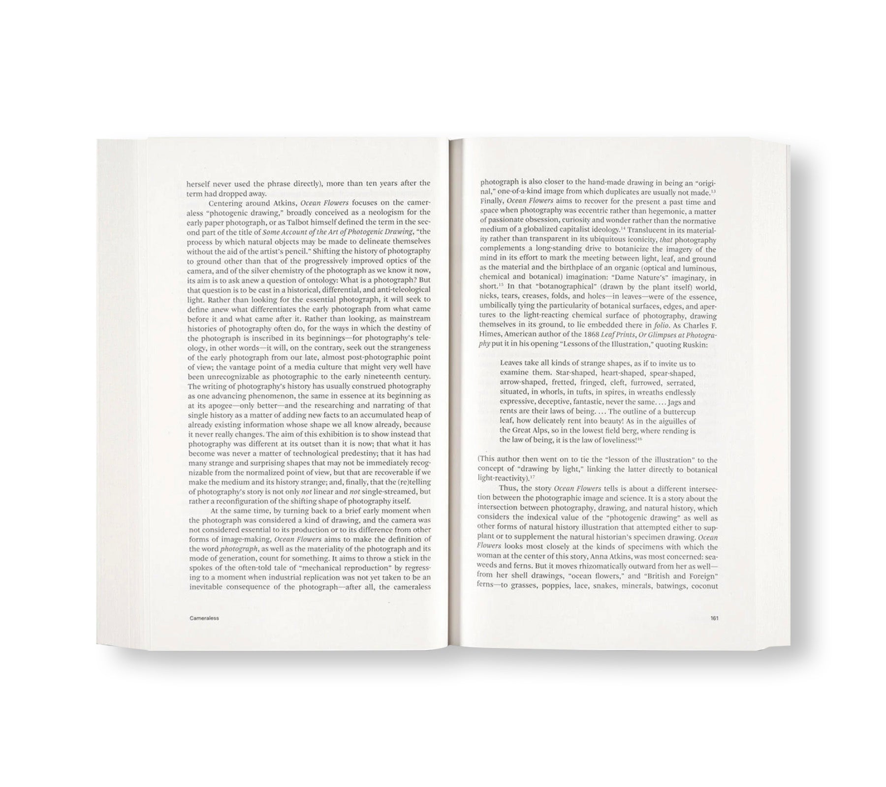 Painting Photography Painting: Selected Essays by Carol Armstrong - Art History Book for Artists, Photographers & Scholars - Perfect for Studio Inspiration & Academic Research