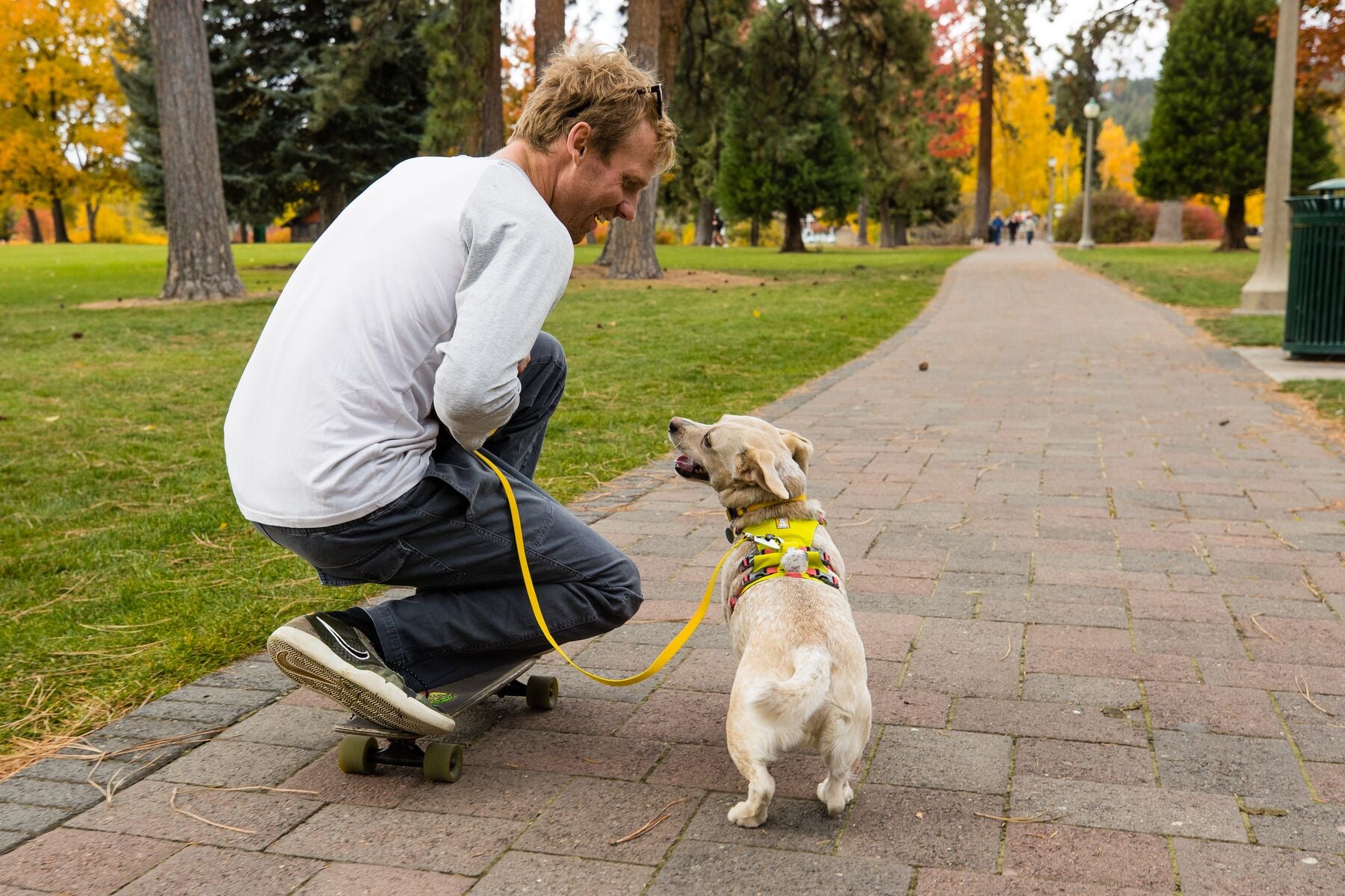 Ruffwear Hi & Light® Ultralight Dog Collar in Mint Green (Sage Green) - Perfect for Hiking, Walking & Outdoor Adventures