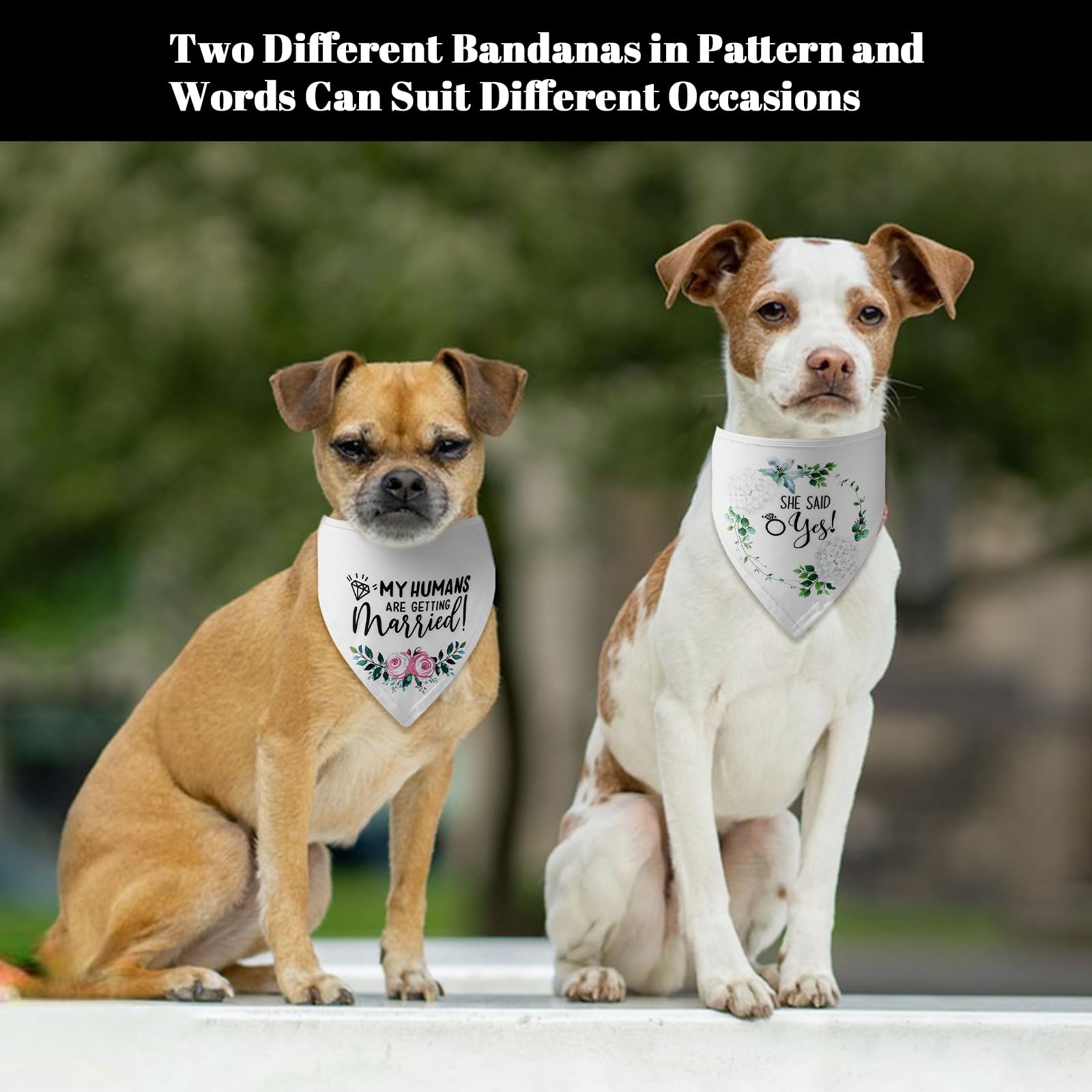 2 Pack White Floral Dog Bandana Scarf for Wedding - Triangle Pet Bandana with Elegant Floral Pattern, Perfect for Dog Lovers Gift & Pet Wedding Accessories - Great for Pet Weddings, Photo Shoots & Special Occasions